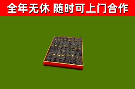 沅江市回收海参